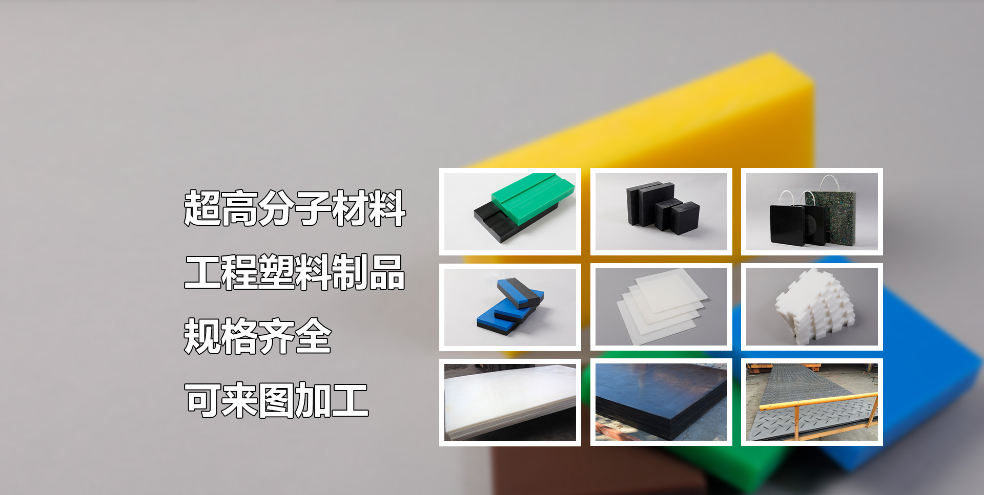 小龙女心水论坛